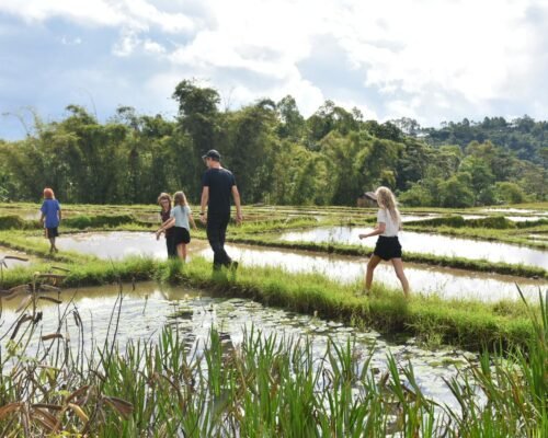Trekking in Lingko Ratung