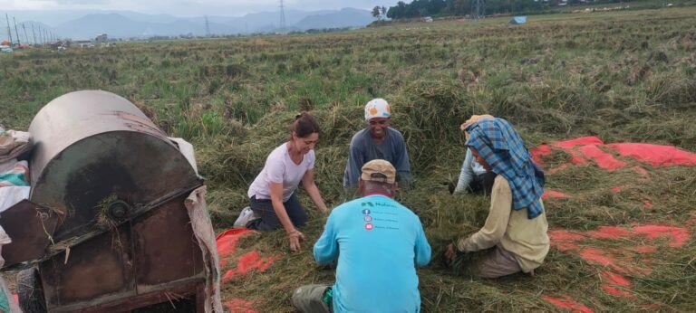 Mariam joined farmers to sort out the grains