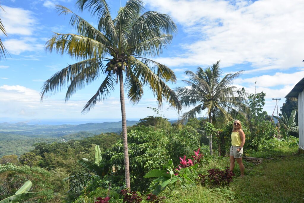 View from the outskirt of Labuan Bajo