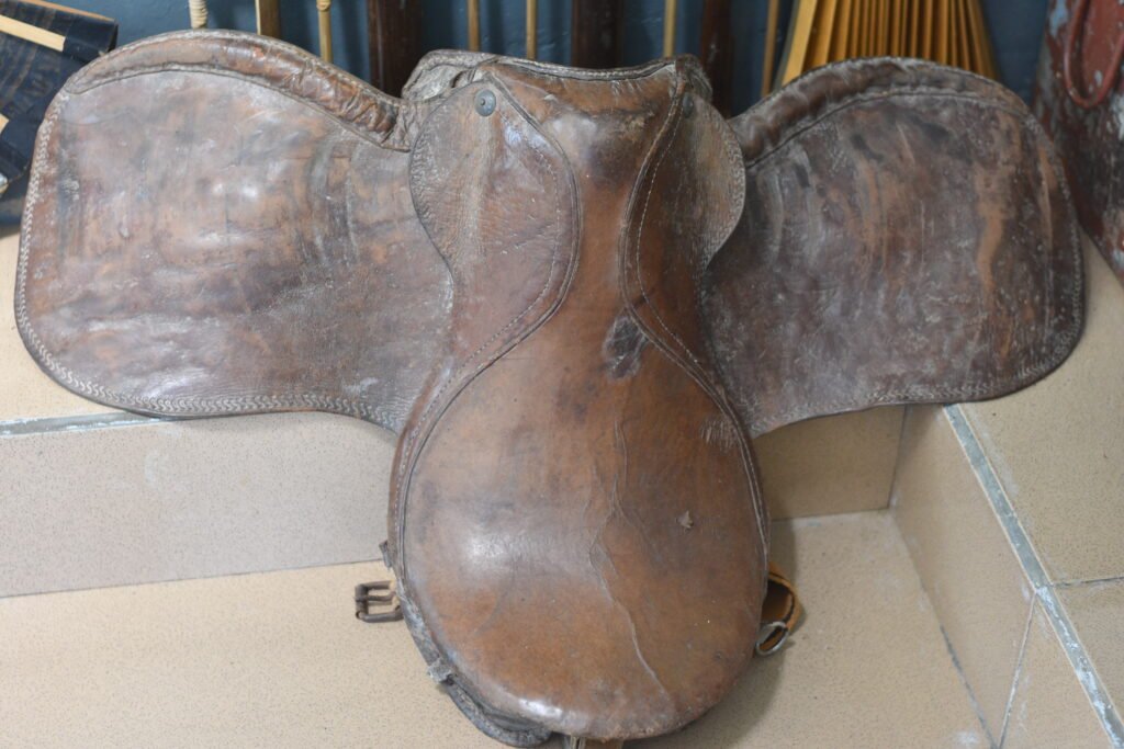 horse saddle